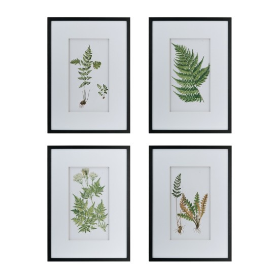 Artekko Botanical Λευκοί Πίνακες με Φυτά σε Μαύρη Κορνίζα (50x3x70)cm 4pcs Artekko Botanical Λευκοί Πίνακες με Φυτά σε Μαύρη Κορνίζα (50x3x70)cm 4pcs