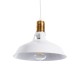 GLOBOSTAR® ANER 01072 Vintage Κρεμαστό Φωτιστικό Οροφής με Ντουί 1 x E27 AC 220-240V IP20 - Λευκό & Χρυσό - Μ27.5 x Π27.5 x Υ19cm