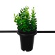GLOBOSTAR® FLOWERPOT 10001209 Μοντέρνο Κρεμαστό Φωτιστικό Οροφής με Ντουί 1 x E27 AC 220-240V IP20 - Μαύρο & Πράσινο - Μ34 x Π34 x Y34cm GLOBOSTAR® FLOWERPOT 10001209 Μοντέρνο Κρεμαστό Φωτιστικό Οροφής με Ντουί 1 x E27 AC 220-240V IP20 - Μαύρο & Πράσινο - Μ34 x Π34 x Y34cm