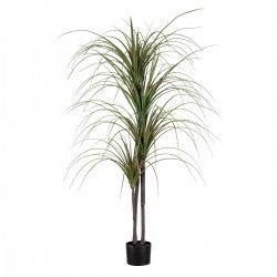 GloboStar® Artificial Garden DRAGON BLOOD TREE 20015 - Τεχνητό Διακοσμητικό Φυτό Δράκαινα Υ150cm GloboStar® Artificial Garden DRAGON BLOOD TREE 20015 - Τεχνητό Διακοσμητικό Φυτό Δράκαινα Υ150cm