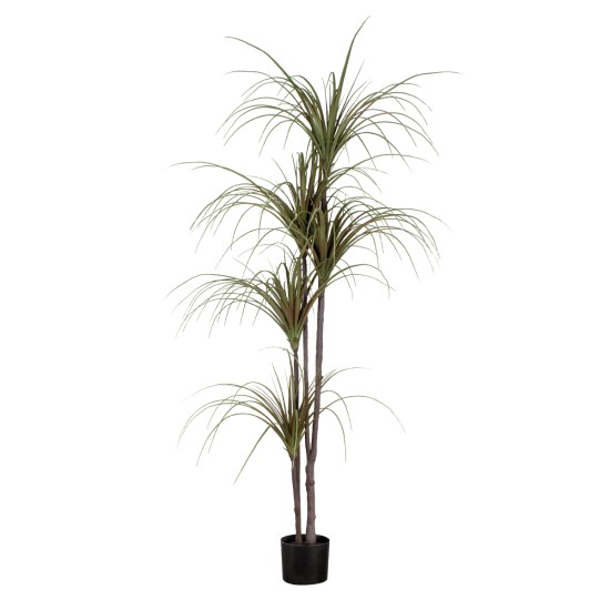 GloboStar® Artificial Garden DRAGON BLOOD TREE 20016 - Τεχνητό Διακοσμητικό Φυτό Δράκαινα Υ180cm GloboStar® Artificial Garden DRAGON BLOOD TREE 20016 - Τεχνητό Διακοσμητικό Φυτό Δράκαινα Υ180cm