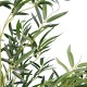 GloboStar® Artificial Garden BAMBOO 20038 Τεχνητό Διακοσμητικό Φυτό Μπαμπού Υ280cm GloboStar® Artificial Garden BAMBOO 20038 Τεχνητό Διακοσμητικό Φυτό Μπαμπού Υ280cm