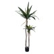GloboStar® Artificial Garden AGAVE 20045 Τεχνητό Διακοσμητικό Φυτό Αγαύη Υ172cm GloboStar® Artificial Garden AGAVE 20045 Τεχνητό Διακοσμητικό Φυτό Αγαύη Υ172cm