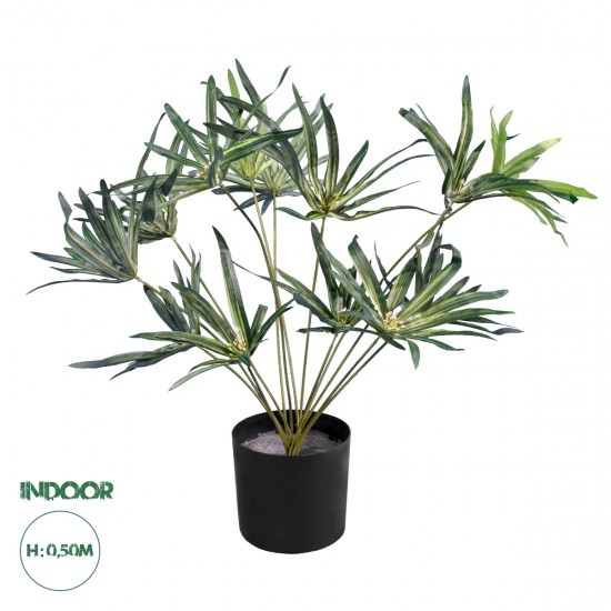 GloboStar® Artificial Garden BROADLEAF LADY PALM 20059 Τεχνητό Διακοσμητικό Φυτό Πλατύφυλλος Φοίνικας Μπαμπού Υ50cm GloboStar® Artificial Garden BROADLEAF LADY PALM 20059 Τεχνητό Διακοσμητικό Φυτό Πλατύφυλλος Φοίνικας Μπαμπού Υ50cm