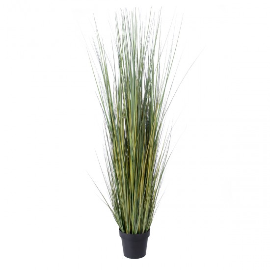 GloboStar® Artificial Garden PAMPAS GRASS 20072 Τεχνητό Διακοσμητικό Φυτό Γρασίδι της Πάμπας Υ170cm GloboStar® Artificial Garden PAMPAS GRASS 20072 Τεχνητό Διακοσμητικό Φυτό Γρασίδι της Πάμπας Υ170cm