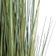 GloboStar® Artificial Garden PAMPAS GRASS 20072 Τεχνητό Διακοσμητικό Φυτό Γρασίδι της Πάμπας Υ170cm GloboStar® Artificial Garden PAMPAS GRASS 20072 Τεχνητό Διακοσμητικό Φυτό Γρασίδι της Πάμπας Υ170cm