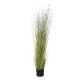 GloboStar® Artificial Garden ERIOPHORUM ANGUSTIFOLIUM COTTON GRASS 20073 Τεχνητό Διακοσμητικό Φυτό Γρασίδι του Βαμβακιού Υ150cm