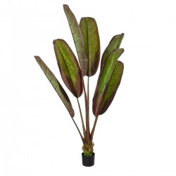 GloboStar® Artificial Garden BLOODY BANANA TREE 20118 - Τεχνητό Διακοσμητικό Φυτό Αιματόφυλλη Μπανανιά - Μπανανόδεντρο Υ190cm GloboStar® Artificial Garden BLOODY BANANA TREE 20118 - Τεχνητό Διακοσμητικό Φυτό Αιματόφυλλη Μπανανιά - Μπανανόδεντρο Υ190cm