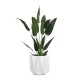 GloboStar® Artificial Garden PADOVA 20741 Επιδαπέδιο Πολυεστερικό Τσιμεντένιο Κασπώ Γλάστρα - Flower Pot Λευκό Φ51 x Υ46cm GloboStar® Artificial Garden PADOVA 20741 Επιδαπέδιο Πολυεστερικό Τσιμεντένιο Κασπώ Γλάστρα - Flower Pot Λευκό Φ51 x Υ46cm