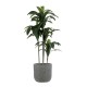 GloboStar® Artificial Garden ERICE 20758 Επιδαπέδιο Πολυεστερικό Τσιμεντένιο Κασπώ Γλάστρα - Flower Pot Γκρι Φ31 x Υ28cm GloboStar® Artificial Garden ERICE 20758 Επιδαπέδιο Πολυεστερικό Τσιμεντένιο Κασπώ Γλάστρα - Flower Pot Γκρι Φ31 x Υ28cm