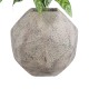 GloboStar® Artificial Garden BOROUGH 20781 Επιδαπέδιο Πολυεστερικό Τσιμεντένιο Κασπώ Γλάστρα - Flower Pot Λευκό με Μπεζ Μ38 x Π38 x Υ38cm GloboStar® Artificial Garden BOROUGH 20781 Επιδαπέδιο Πολυεστερικό Τσιμεντένιο Κασπώ Γλάστρα - Flower Pot Λευκό με Μπεζ Μ38 x Π38 x Υ38cm