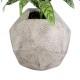 GloboStar® Artificial Garden BOROUGH 20781 Επιδαπέδιο Πολυεστερικό Τσιμεντένιο Κασπώ Γλάστρα - Flower Pot Λευκό με Μπεζ Μ38 x Π38 x Υ38cm GloboStar® Artificial Garden BOROUGH 20781 Επιδαπέδιο Πολυεστερικό Τσιμεντένιο Κασπώ Γλάστρα - Flower Pot Λευκό με Μπεζ Μ38 x Π38 x Υ38cm