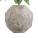 GloboStar® Artificial Garden BOROUGH 20781 Επιδαπέδιο Πολυεστερικό Τσιμεντένιο Κασπώ Γλάστρα - Flower Pot Λευκό με Μπεζ Μ38 x Π38 x Υ38cm GloboStar® Artificial Garden BOROUGH 20781 Επιδαπέδιο Πολυεστερικό Τσιμεντένιο Κασπώ Γλάστρα - Flower Pot Λευκό με Μπεζ Μ38 x Π38 x Υ38cm
