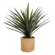 GloboStar® Artificial Garden MEDRANO 20799 ΣΕΤ 2 Διακοσμητικά Πολυεστερικά Τσιμεντένιά Κασπώ Γλάστρες - Flower Pots Μπεζ A:Φ25 x Υ23cm B:Φ25 x Υ23cm GloboStar® Artificial Garden MEDRANO 20799 ΣΕΤ 2 Διακοσμητικά Πολυεστερικά Τσιμεντένιά Κασπώ Γλάστρες - Flower Pots Μπεζ A:Φ25 x Υ23cm B:Φ25 x Υ23cm