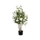 GloboStar® Artificial Garden WHITE ROSES 21069 Τεχνητό Διακοσμητικό ΦυτόΤριανταφυλλιά Μ50 x Π50 x Υ90cm GloboStar® Artificial Garden WHITE ROSES 21069 Τεχνητό Διακοσμητικό ΦυτόΤριανταφυλλιά Μ50 x Π50 x Υ90cm