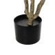 GloboStar® Artificial Garden LIGHT PINK ROSES 21071 Τεχνητό Διακοσμητικό Φυτό Τριανταφυλλιά Μ50 x Π50 x Υ90cm GloboStar® Artificial Garden LIGHT PINK ROSES 21071 Τεχνητό Διακοσμητικό Φυτό Τριανταφυλλιά Μ50 x Π50 x Υ90cm