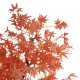 GloboStar® Artificial Garden MAPLE TREE 21105 Τεχνητό Διακοσμητικό Δέντρο Σφένδαμος Μ90 x Π90 x Υ210cm GloboStar® Artificial Garden MAPLE TREE 21105 Τεχνητό Διακοσμητικό Δέντρο Σφένδαμος Μ90 x Π90 x Υ210cm