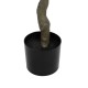GloboStar® Artificial Garden LEMON TREE 21106 Τεχνητό Διακοσμητικό Δέντρο Λεμονιά Υ200cm GloboStar® Artificial Garden LEMON TREE 21106 Τεχνητό Διακοσμητικό Δέντρο Λεμονιά Υ200cm