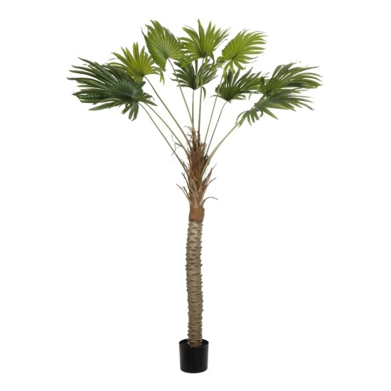 GloboStar® Artificial Garden WASHINGTONIA FILIFERA TREE 21107 Τεχνητό Διακοσμητικό Φοινικόδεντρου Υ200cm GloboStar® Artificial Garden WASHINGTONIA FILIFERA TREE 21107 Τεχνητό Διακοσμητικό Φοινικόδεντρου Υ200cm