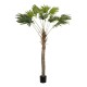 GloboStar® Artificial Garden WASHINGTONIA FILIFERA TREE 21107 Τεχνητό Διακοσμητικό Φοινικόδεντρου Υ200cm GloboStar® Artificial Garden WASHINGTONIA FILIFERA TREE 21107 Τεχνητό Διακοσμητικό Φοινικόδεντρου Υ200cm