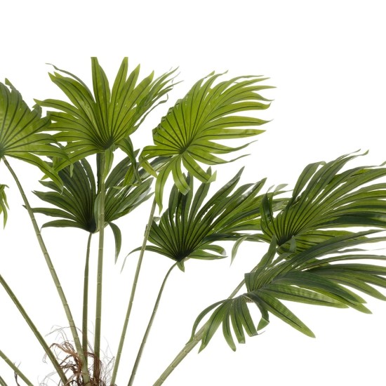 GloboStar® Artificial Garden WASHINGTONIA FILIFERA TREE 21107 Τεχνητό Διακοσμητικό Φοινικόδεντρου Υ200cm GloboStar® Artificial Garden WASHINGTONIA FILIFERA TREE 21107 Τεχνητό Διακοσμητικό Φοινικόδεντρου Υ200cm