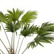 GloboStar® Artificial Garden WASHINGTONIA FILIFERA TREE 21107 Τεχνητό Διακοσμητικό Φοινικόδεντρου Υ200cm GloboStar® Artificial Garden WASHINGTONIA FILIFERA TREE 21107 Τεχνητό Διακοσμητικό Φοινικόδεντρου Υ200cm