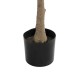 GloboStar® Artificial Garden ORANGE TREE 21109 Τεχνητό Διακοσμητικό Δέντρο Πορτοκαλιά Μ90 x Π70 x Υ160cm