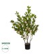 GloboStar® Artificial Garden CAMELIA 21115 Τεχνητό Διακοσμητικό Φυτό Καμέλια Μ50 x Π30 x Υ90cm GloboStar® Artificial Garden CAMELIA 21115 Τεχνητό Διακοσμητικό Φυτό Καμέλια Μ50 x Π30 x Υ90cm