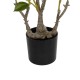 GloboStar® Artificial Garden CAMELIA 21115 Τεχνητό Διακοσμητικό Φυτό Καμέλια Μ50 x Π30 x Υ90cm GloboStar® Artificial Garden CAMELIA 21115 Τεχνητό Διακοσμητικό Φυτό Καμέλια Μ50 x Π30 x Υ90cm