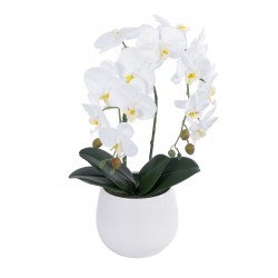 GloboStar® Artificial Garden WHITE ORCHID 21117 Διακοσμητικό Φυτό Λευκή Ορχιδέα Υ45cm GloboStar® Artificial Garden WHITE ORCHID 21117 Διακοσμητικό Φυτό Λευκή Ορχιδέα Υ45cm