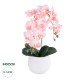 GloboStar® Artificial Garden SALMON ORCHID 21118 Διακοσμητικό Φυτό Ροζ-Πορτοκαλί Ορχιδέα Υ45cm GloboStar® Artificial Garden SALMON ORCHID 21118 Διακοσμητικό Φυτό Ροζ-Πορτοκαλί Ορχιδέα Υ45cm