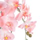 GloboStar® Artificial Garden SALMON ORCHID 21118 Διακοσμητικό Φυτό Ροζ-Πορτοκαλί Ορχιδέα Υ45cm GloboStar® Artificial Garden SALMON ORCHID 21118 Διακοσμητικό Φυτό Ροζ-Πορτοκαλί Ορχιδέα Υ45cm