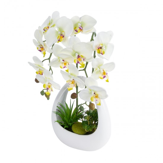 GloboStar® Artificial Garden WHITE ORCHID 21128 Διακοσμητικό Φυτό Λευκή Ορχιδέα Υ39cm GloboStar® Artificial Garden WHITE ORCHID 21128 Διακοσμητικό Φυτό Λευκή Ορχιδέα Υ39cm