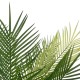 GloboStar® Artificial Garden PALM TREE 21153 Τεχνητό Διακοσμητικό Φυτό Φοίνικας Μ100 x Π50 x Υ90cm