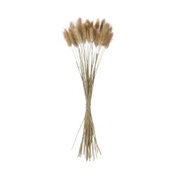 GloboStar® Artificial Garden REAL DRIED BEIGE WHEAT BUNCH 21219 Αποξηραμένο Διακοσμητικό Μπουκέτο Σιταριού Y50cm - Σετ 30 τμχ GloboStar® Artificial Garden REAL DRIED BEIGE WHEAT BUNCH 21219 Αποξηραμένο Διακοσμητικό Μπουκέτο Σιταριού Y50cm - Σετ 30 τμχ