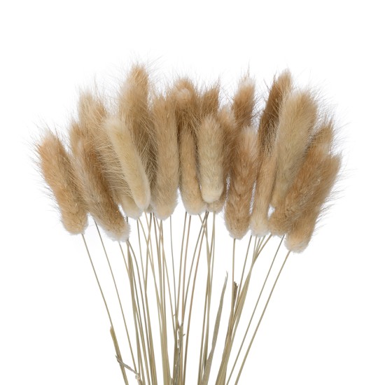 GloboStar® Artificial Garden REAL DRIED BEIGE WHEAT BUNCH  21219 Αποξηραμένο Διακοσμητικό Μπουκέτο Σιταριού Y50cm - Σετ 30 τμχ