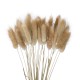 GloboStar® Artificial Garden REAL DRIED BEIGE WHEAT BUNCH  21219 Αποξηραμένο Διακοσμητικό Μπουκέτο Σιταριού Y50cm - Σετ 30 τμχ