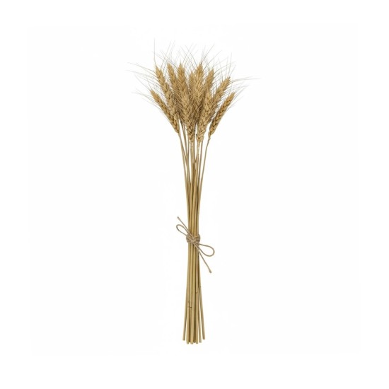 GloboStar® Artificial Garden REAL DRIED WHEAT GRASS 21488 Τεχνητό Διακοσμητικό Κλαδί Σιταριού Y30cm - Σετ 10 τμχ