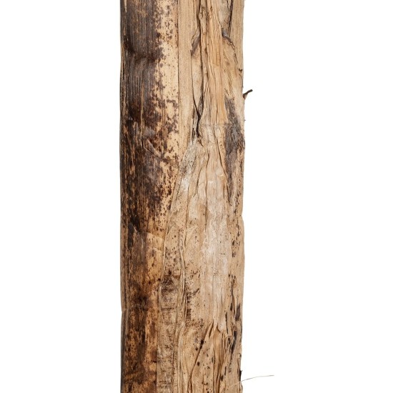 GloboStar® Artificial Garden BANANA TREE 21502 Τεχνητό Διακοσμητικό Δέντρο Μπανανιάς Υ500cm GloboStar® Artificial Garden BANANA TREE 21502 Τεχνητό Διακοσμητικό Δέντρο Μπανανιάς Υ500cm