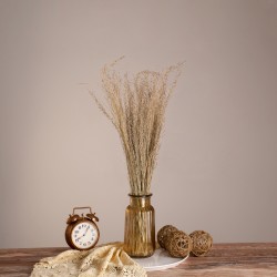 GloboStar® SILVERHAIRGRASS 36545 Αποξηραμένο Φυτό Ασημένια Χλόη - Μπουκέτο Διακοσμητικών Κλαδιών Μπεζ Υ60cm - Σετ 100 τμχ