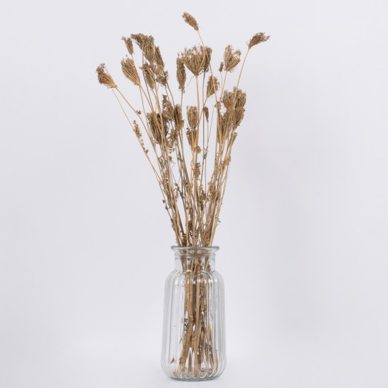 GloboStar® WILDCARROT 36546 Αποξηραμένο Φυτό Άγριο Καρότο - Μπουκέτο Διακοσμητικών Κλαδιών Μπεζ Υ60cm - Σετ 10 τμχ