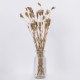 GloboStar® WILDCARROT 36546 Αποξηραμένο Φυτό Άγριο Καρότο - Μπουκέτο Διακοσμητικών Κλαδιών Μπεζ Υ60cm - Σετ 10 τμχ