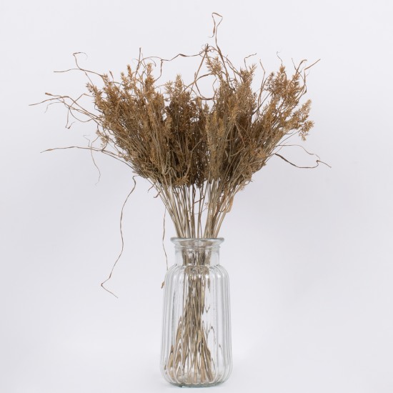 GloboStar® FERNGRASS 36556 Αποξηραμένο Φυτό Φτερόχορτο - Μπουκέτο Διακοσμητικών Κλαδιών Μπεζ Υ60cm - Σετ 50 τμχ GloboStar® FERNGRASS 36556 Αποξηραμένο Φυτό Φτερόχορτο - Μπουκέτο Διακοσμητικών Κλαδιών Μπεζ Υ60cm - Σετ 50 τμχ