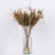 GloboStar® FERNGRASS 36556 Αποξηραμένο Φυτό Φτερόχορτο - Μπουκέτο Διακοσμητικών Κλαδιών Μπεζ Υ60cm - Σετ 50 τμχ GloboStar® FERNGRASS 36556 Αποξηραμένο Φυτό Φτερόχορτο - Μπουκέτο Διακοσμητικών Κλαδιών Μπεζ Υ60cm - Σετ 50 τμχ
