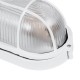 GLOBOSTAR® BOATLIGHT 61582 Vintage Φωτιστικό Καραβοχελώνα Τοίχου & Οροφής με Ντουί 1 x E27 AC 220-240V Αδιάβροχο IP65 - Λευκό Ματ - Μ21 x Π10.4 x Υ9cm GLOBOSTAR® BOATLIGHT 61582 Vintage Φωτιστικό Καραβοχελώνα Τοίχου & Οροφής με Ντουί 1 x E27 AC 220-240V Αδιάβροχο IP65 - Λευκό Ματ - Μ21 x Π10.4 x Υ9cm