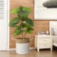 GloboStar® Artificial Garden SAMOTHRAKI 20199 Διακοσμητικό Πλεκτό Καλάθι - Κασπώ Γλάστρα - Flower Pot Μπεζ με Λευκό Π35cm x Υ40cm GloboStar® Artificial Garden SAMOTHRAKI 20199 Διακοσμητικό Πλεκτό Καλάθι - Κασπώ Γλάστρα - Flower Pot Μπεζ με Λευκό Π35cm x Υ40cm