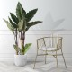 GloboStar® Artificial Garden MALVEN 20710 Επιδαπέδιο Πολυεστερικό Τσιμεντένιο Κασπώ Γλάστρα - Flower Pot Λευκό Φ31 x Υ28cm GloboStar® Artificial Garden MALVEN 20710 Επιδαπέδιο Πολυεστερικό Τσιμεντένιο Κασπώ Γλάστρα - Flower Pot Λευκό Φ31 x Υ28cm