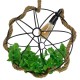 GLOBOSTAR® BRADLEY 10001329 Vintage Κρεμαστό Φωτιστικό Οροφής με Ντουί 1 x E27 AC 220-240V IP20 - Πολύχρωμο - Μ42 x Π42 x Υ42cm