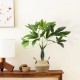 GloboStar® Artificial Garden ANDROS 20315 Διακοσμητικό Πλεκτό Καλάθι - Κασπώ Γλάστρα - Flower Pot Καφέ με Μπεζ Φ18cm x Υ21cm GloboStar® Artificial Garden ANDROS 20315 Διακοσμητικό Πλεκτό Καλάθι - Κασπώ Γλάστρα - Flower Pot Καφέ με Μπεζ Φ18cm x Υ21cm