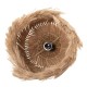 ΦΩΤΙΣΤΙΚΟ ΟΡΟΦΗΣ ΑΠΟ ΙΝΕΣ MENDONG GRASS ΣΕ ΦΥΣΙΚΟ Φ38x34-120Yεκ.HM7776 ΦΩΤΙΣΤΙΚΟ ΟΡΟΦΗΣ ΑΠΟ ΙΝΕΣ MENDONG GRASS ΣΕ ΦΥΣΙΚΟ Φ38x34-120Yεκ.HM7776